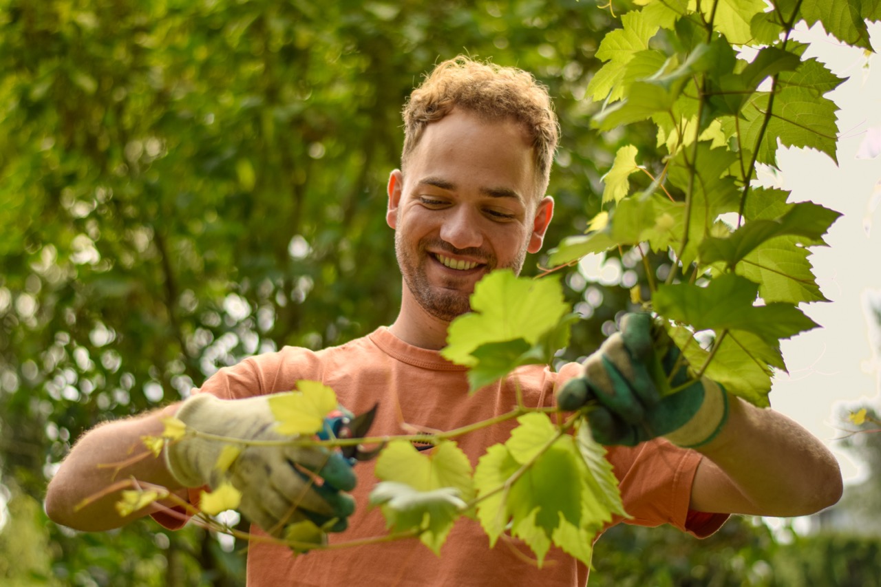 Economische en sociale duurzaamheid | vibenederland.nl