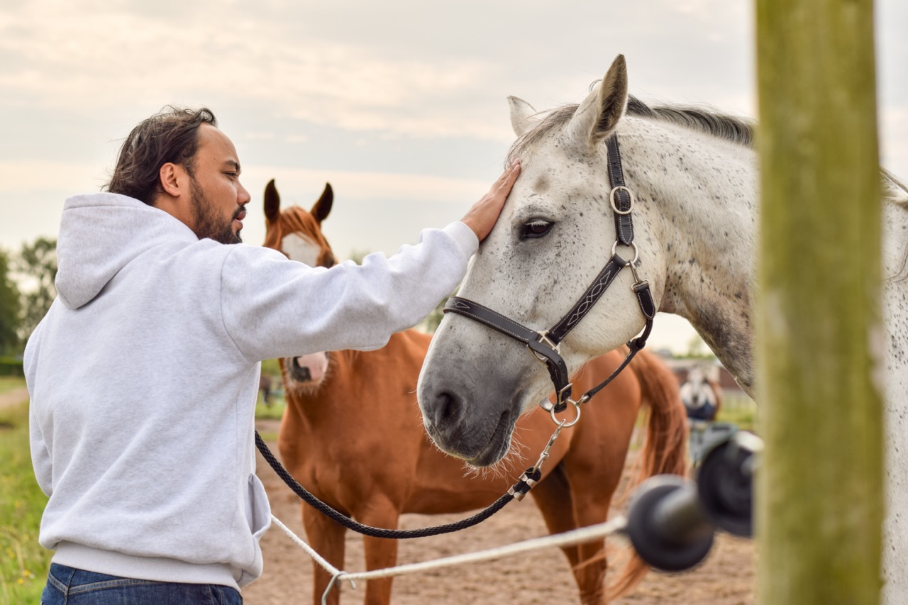 Maatschappelijk verantwoordelijkheid | vibenederland.nl