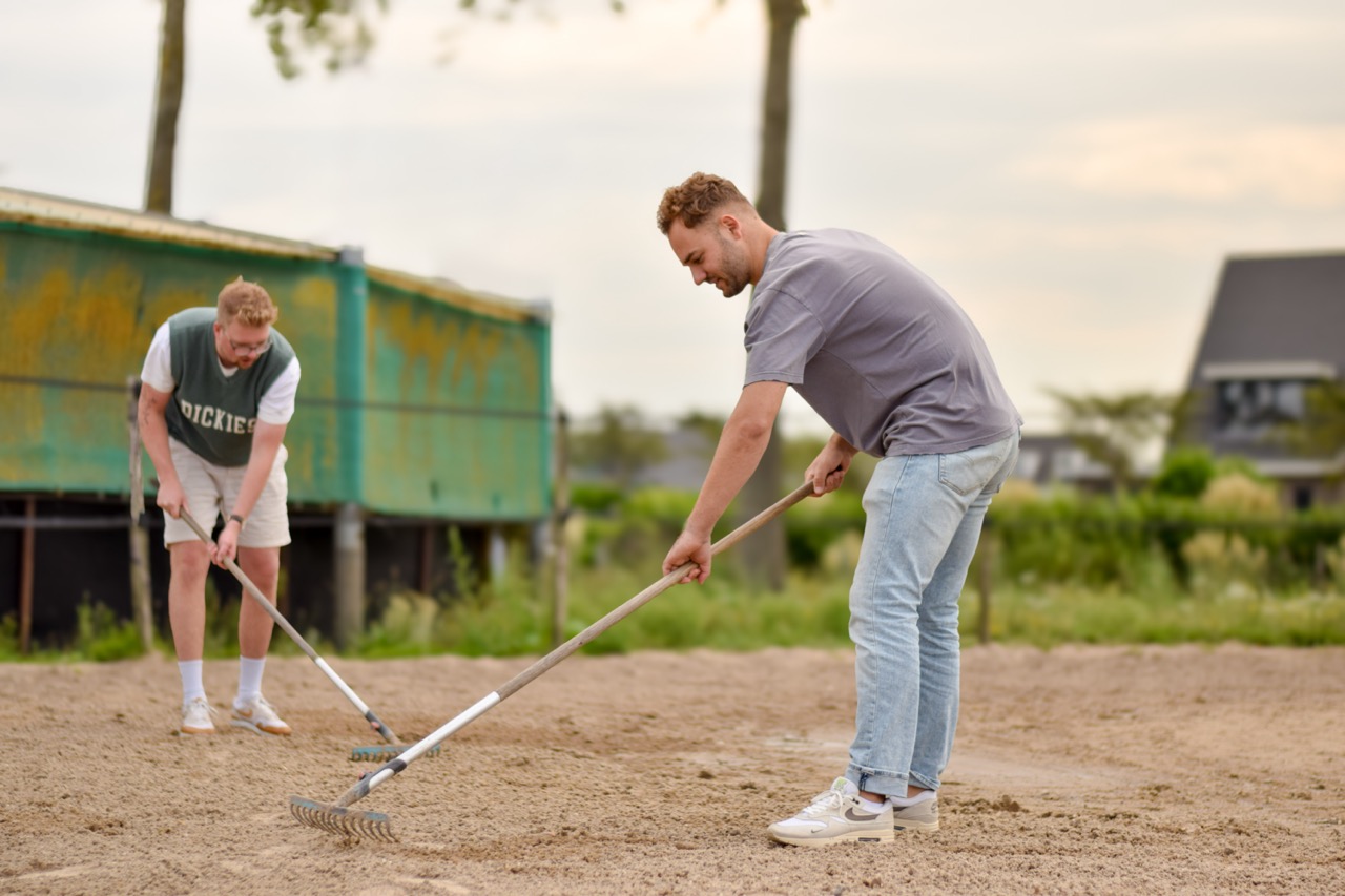 Voor organisaties | vibenederland.nl