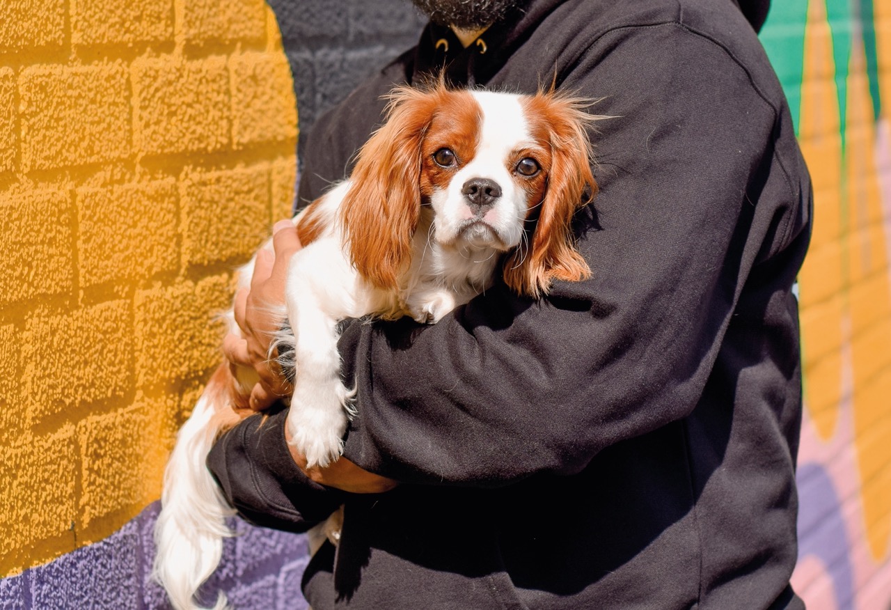 Tuk Heyms | vibenederland.nl